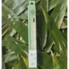 Kids Bamboo Toothbrush (Blue)