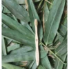Adult Bamboo Toothbrush (Brown)
