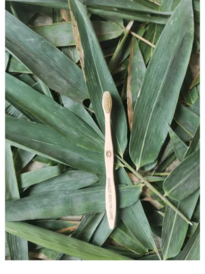 Adult Bamboo Toothbrush (Brown)