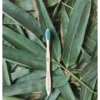 Bamboo Toothbrush Set (Pack of 3)