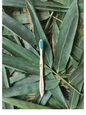 Adult Bamboo Toothbrush (Blue)