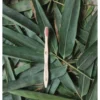 Bamboo Toothbrush Set (Pack of 3)