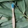 Kids Bamboo Toothbrush (Blue)