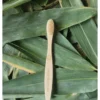 Kids Bamboo Toothbrush (Brown)